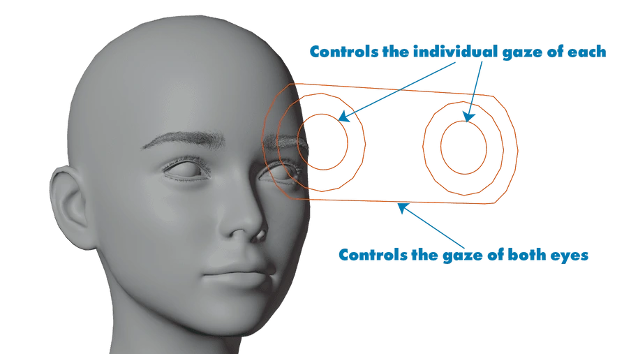 Eye Gaze Controls
