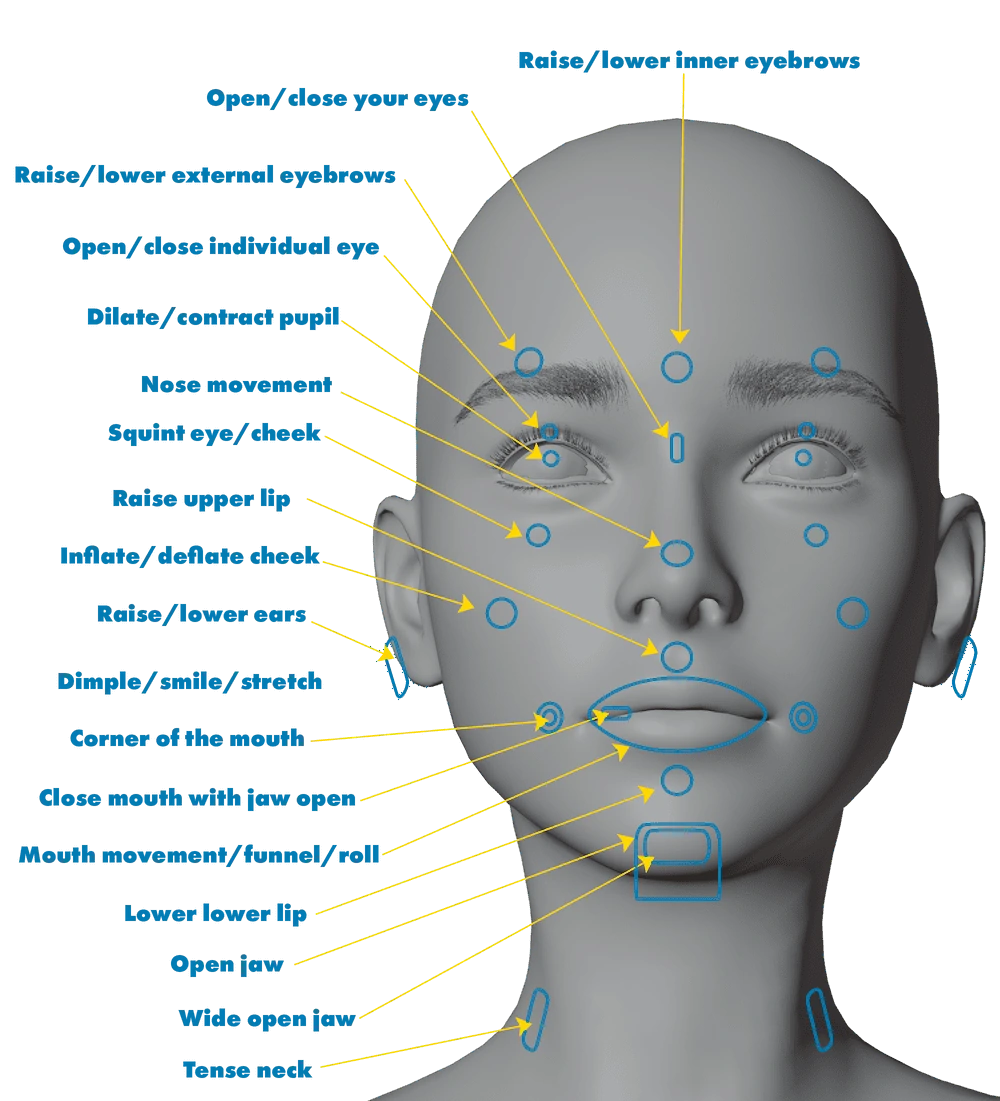 Facial Basics: Primary Controls