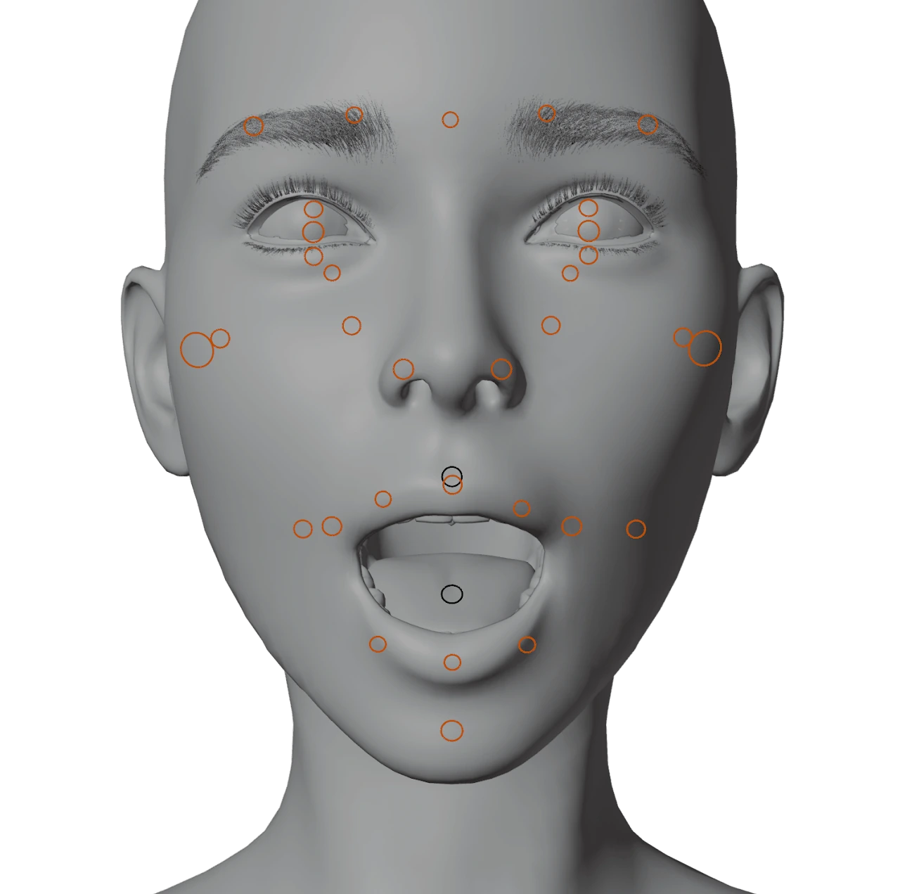 Facial Deformers