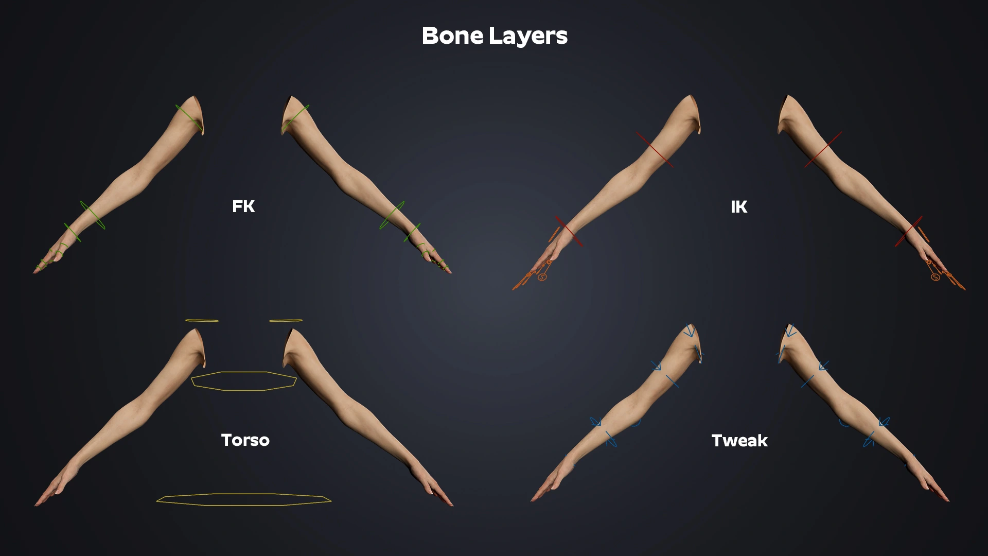 OMNIA Female Arms Customizable bone layers – modular arm rig Blender
