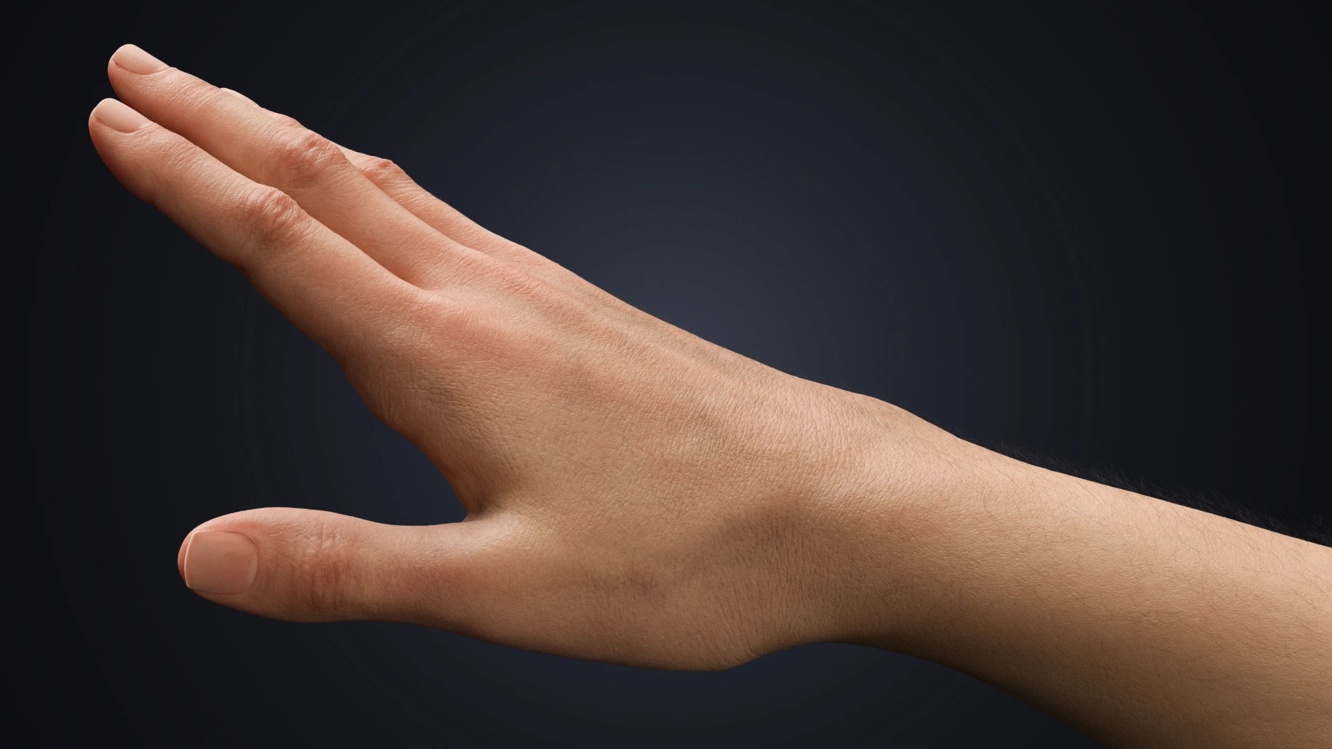 OMNIA Neutral Arms Customizable skin detail – PBR neutral hand texture Blender