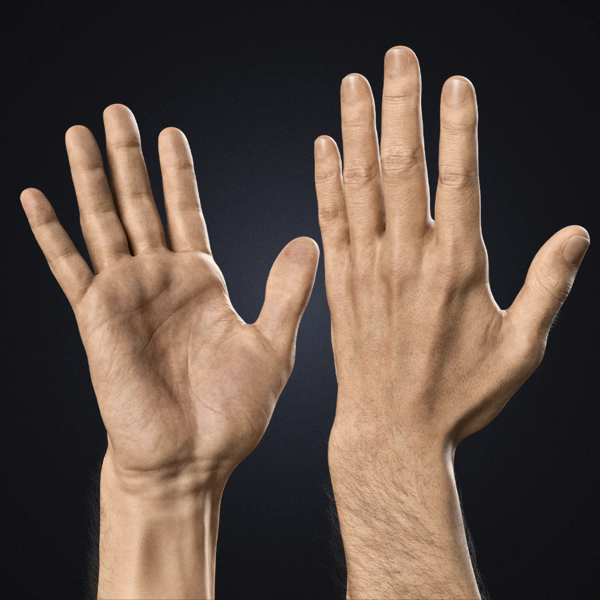 V-ARM 01 Realistic Male Hands Blender Rig