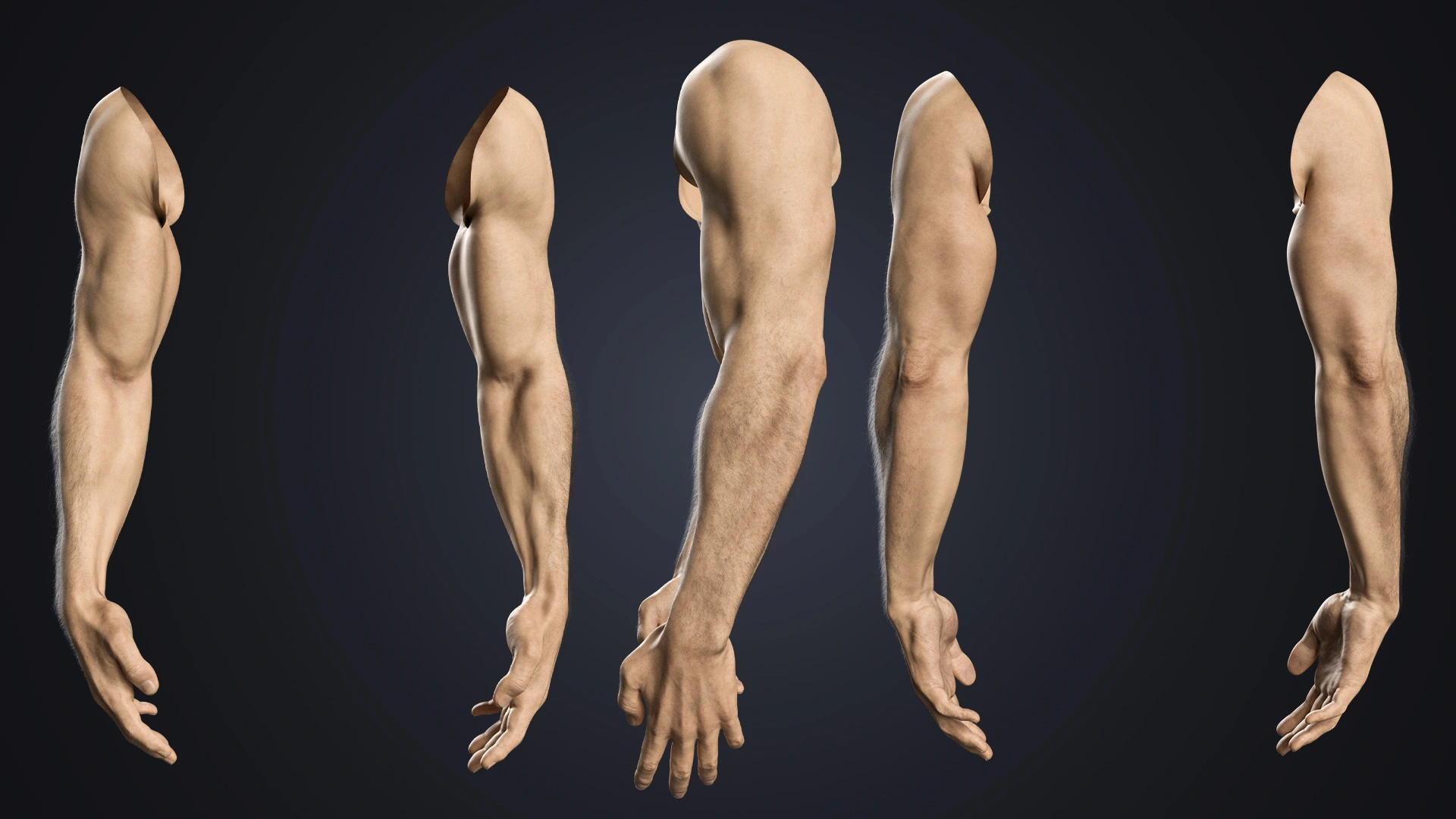 V-ARM 01 full arm 360-degree view – realistic male hand rig for Blender