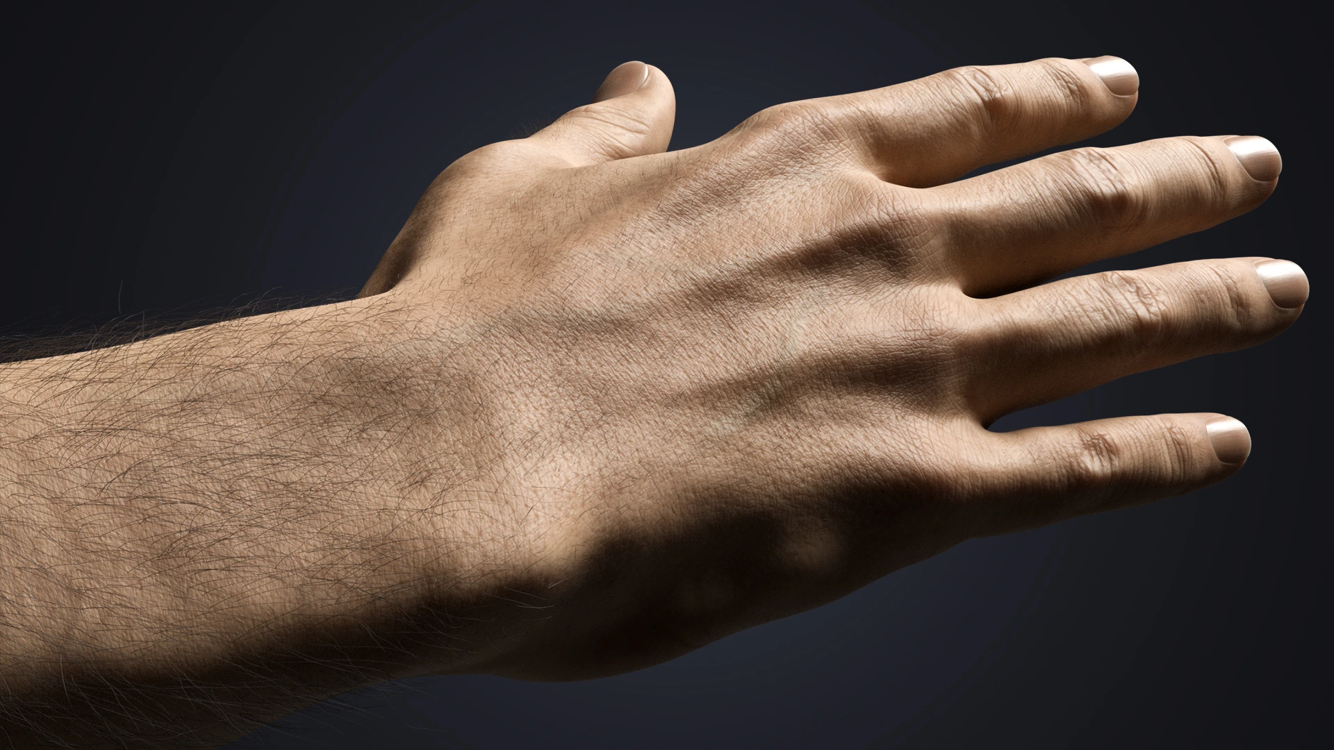 V-ARM 01 knuckle and pore skin detail – male hand 3D rig Blender Cycles