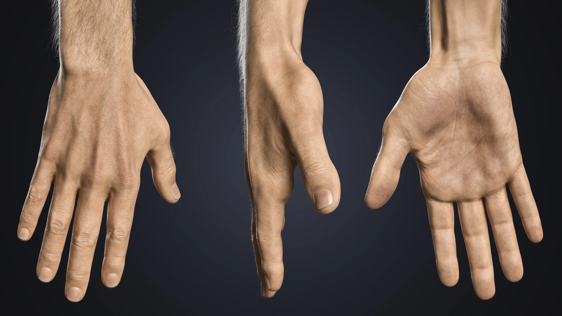 V-ARM 01 hand rotation 360 view – posed male hand 3D model for Blender