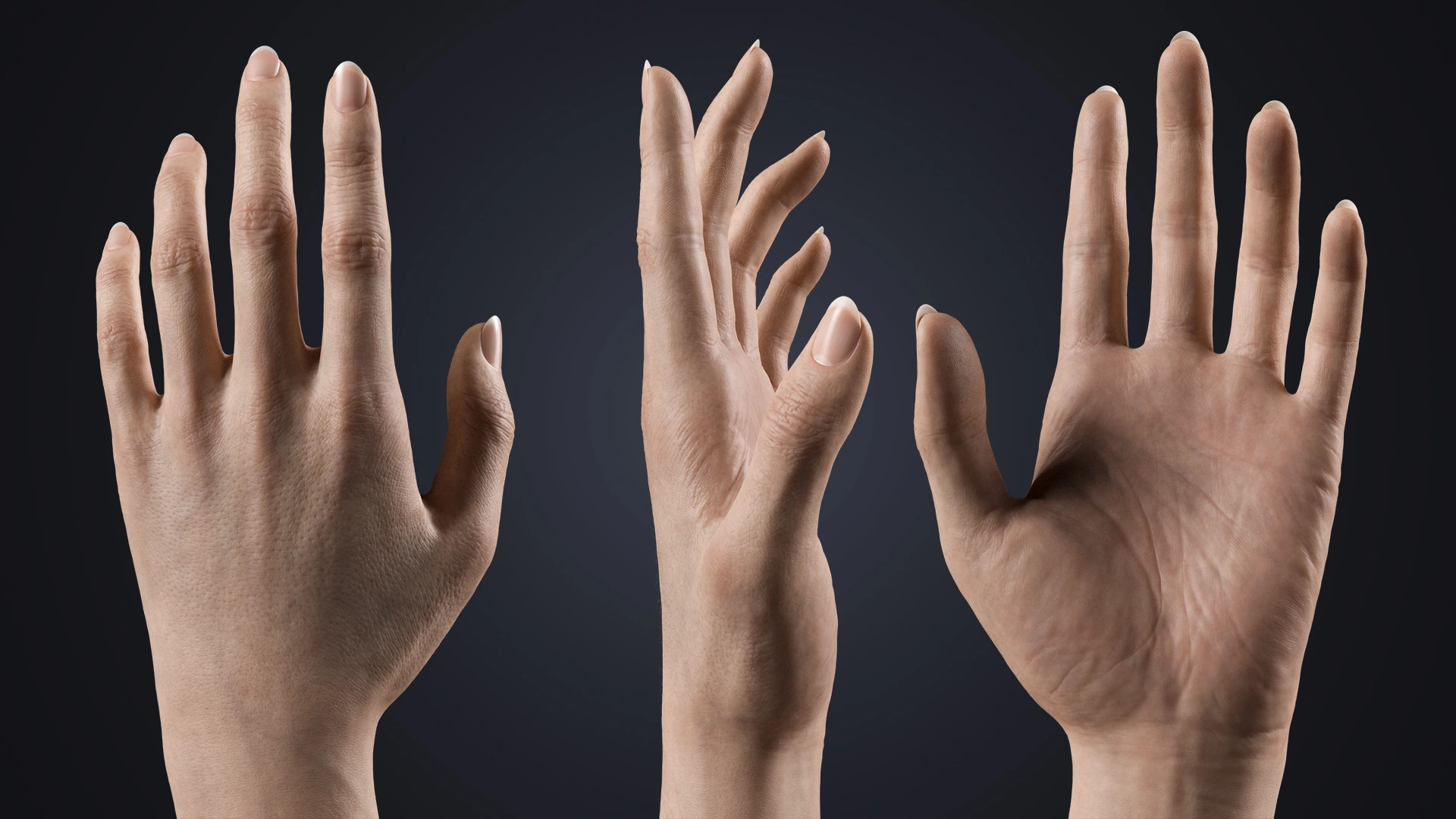 V-ARM 02 hand 360 rotation – female hand 3D model for jewelry visualization