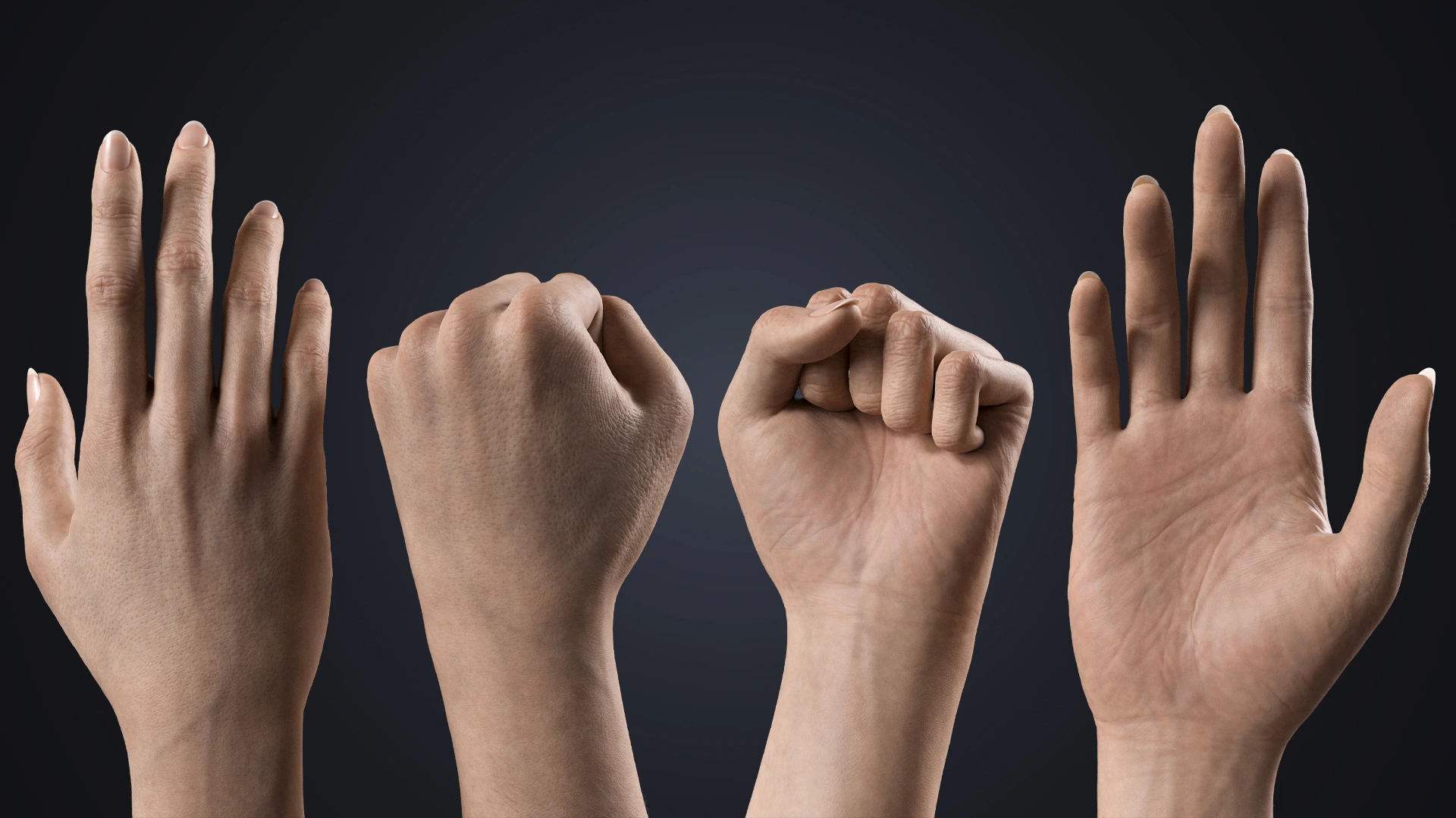 V-ARM 02 palm and fist pose – realistic female hand rig Blender