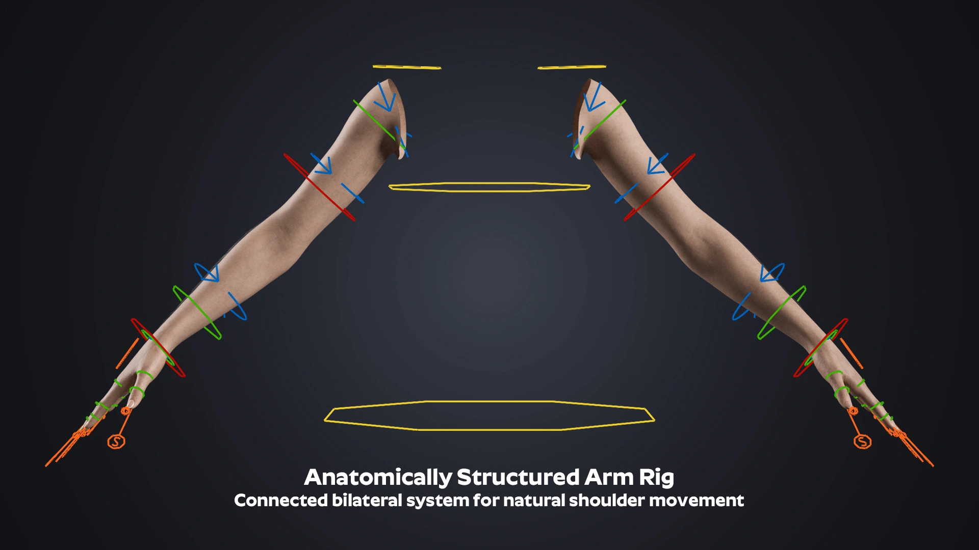 V-ARM 02 anatomical hand structure – realistic female arm 3D model