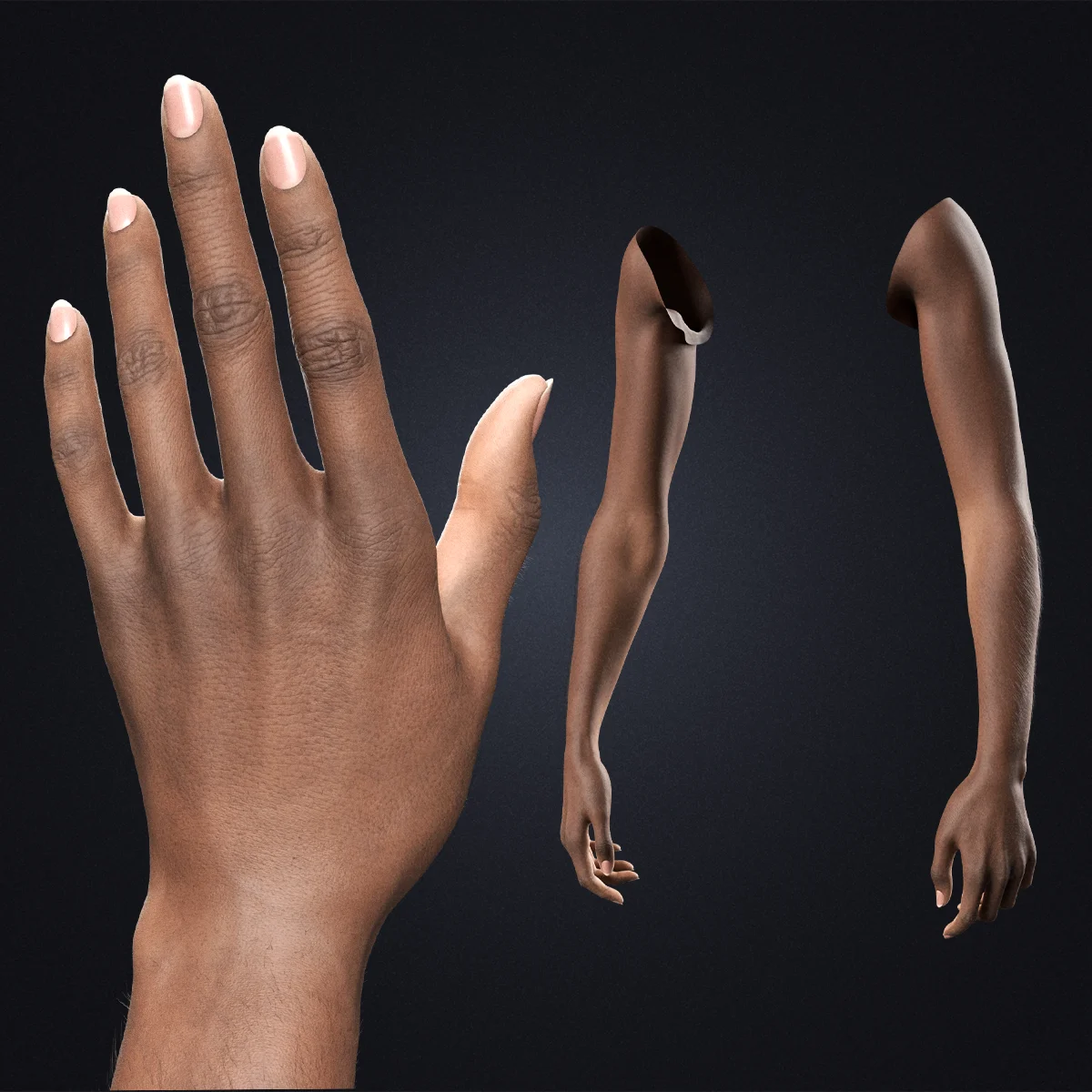 V-ARM 03 Realistic Female Hands Dark Skin Blender Rig