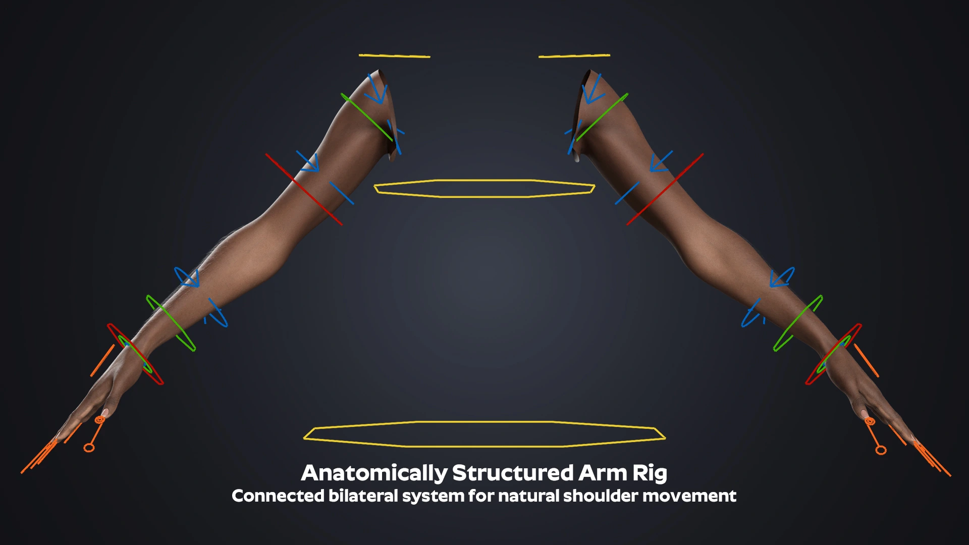 V-ARM 03 hand anatomy detail – hyper-realistic dark skin female arm 3D model