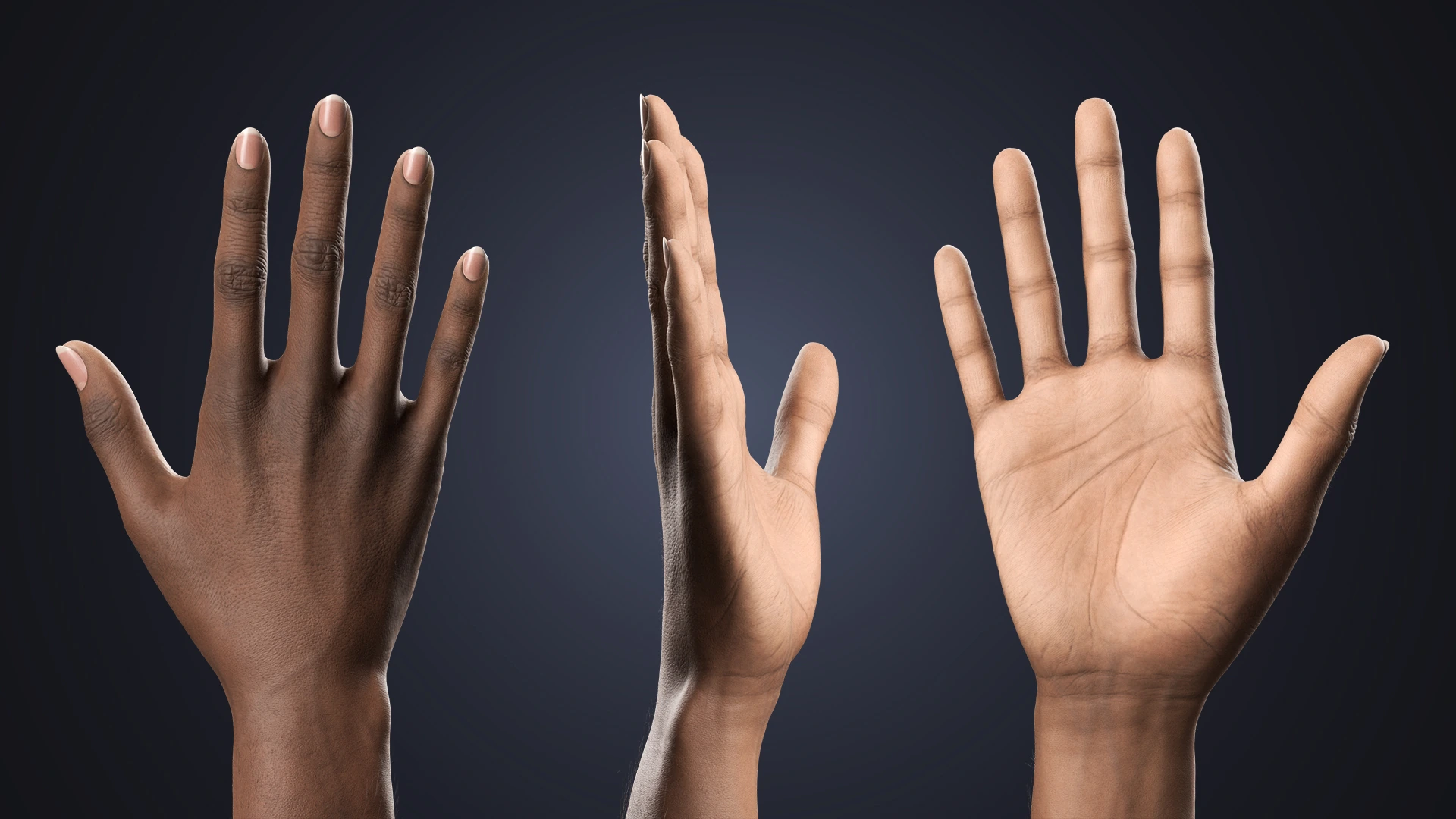 V-ARM 03 hand 360 close-up – hyper-realistic female hand rig dark skin