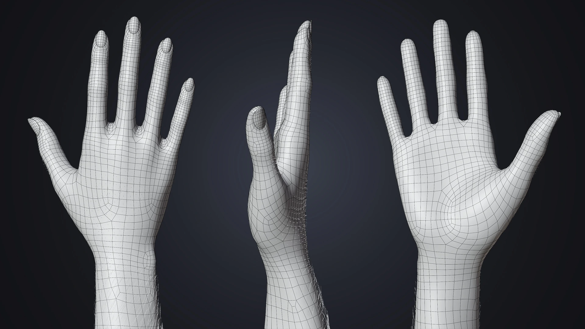 V-ARM 03 wide hand 360 – photoreal female hand rig Blender Cycles