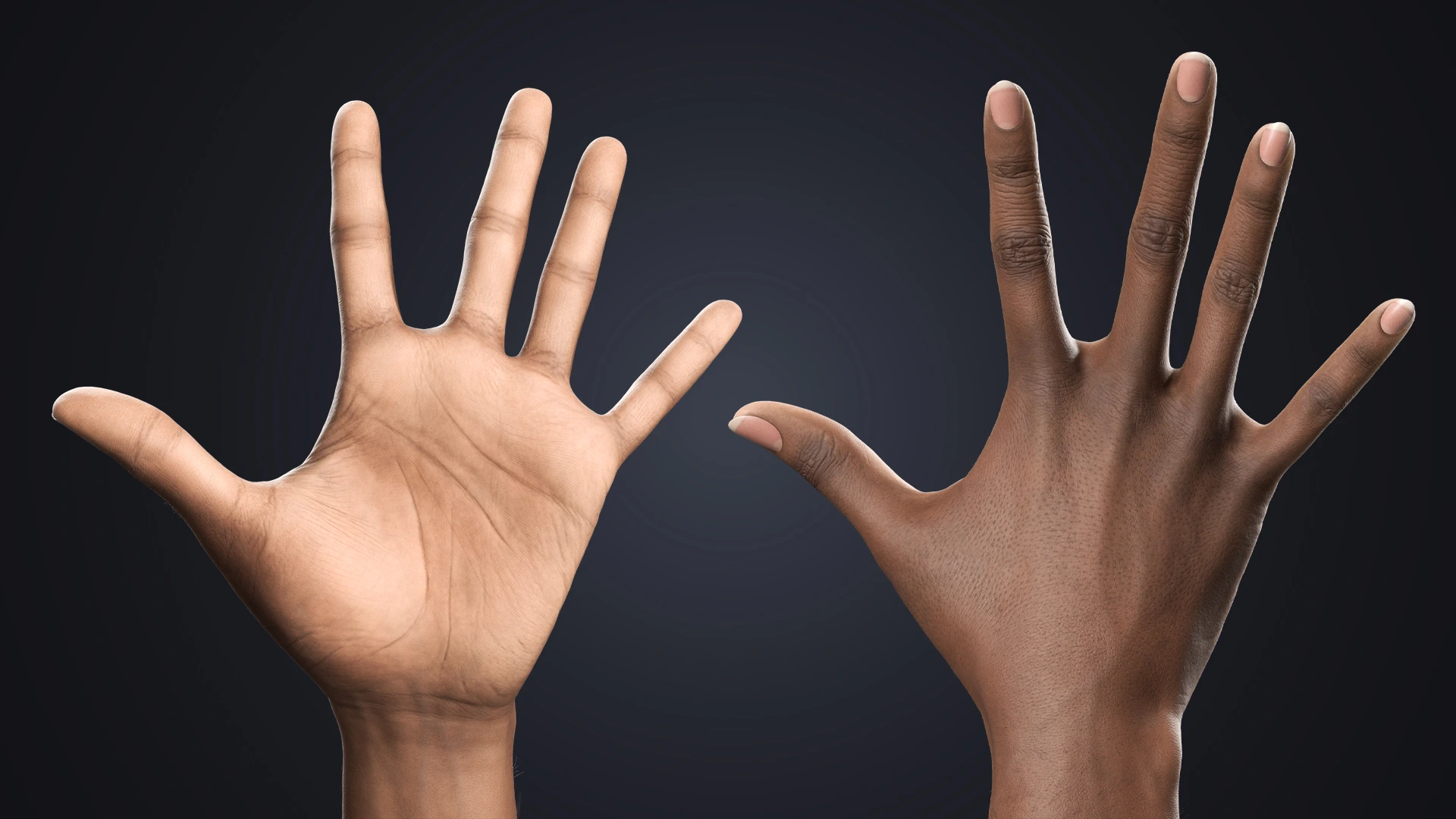 V-ARM 03 palm views – dark skin female hand rig for cinematic close-ups