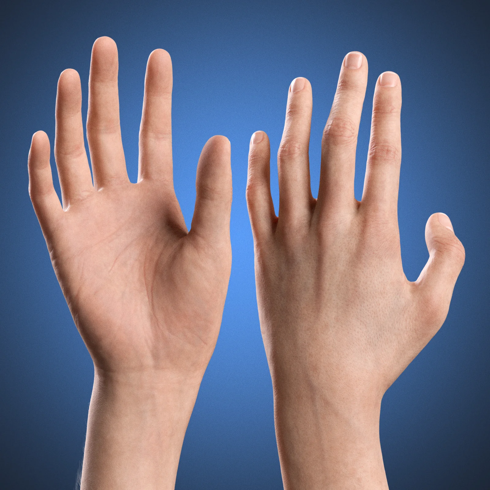 V-ARM 05 Realistic Neutral Hand and Arm 3D Rig for Blender – VERSA Series