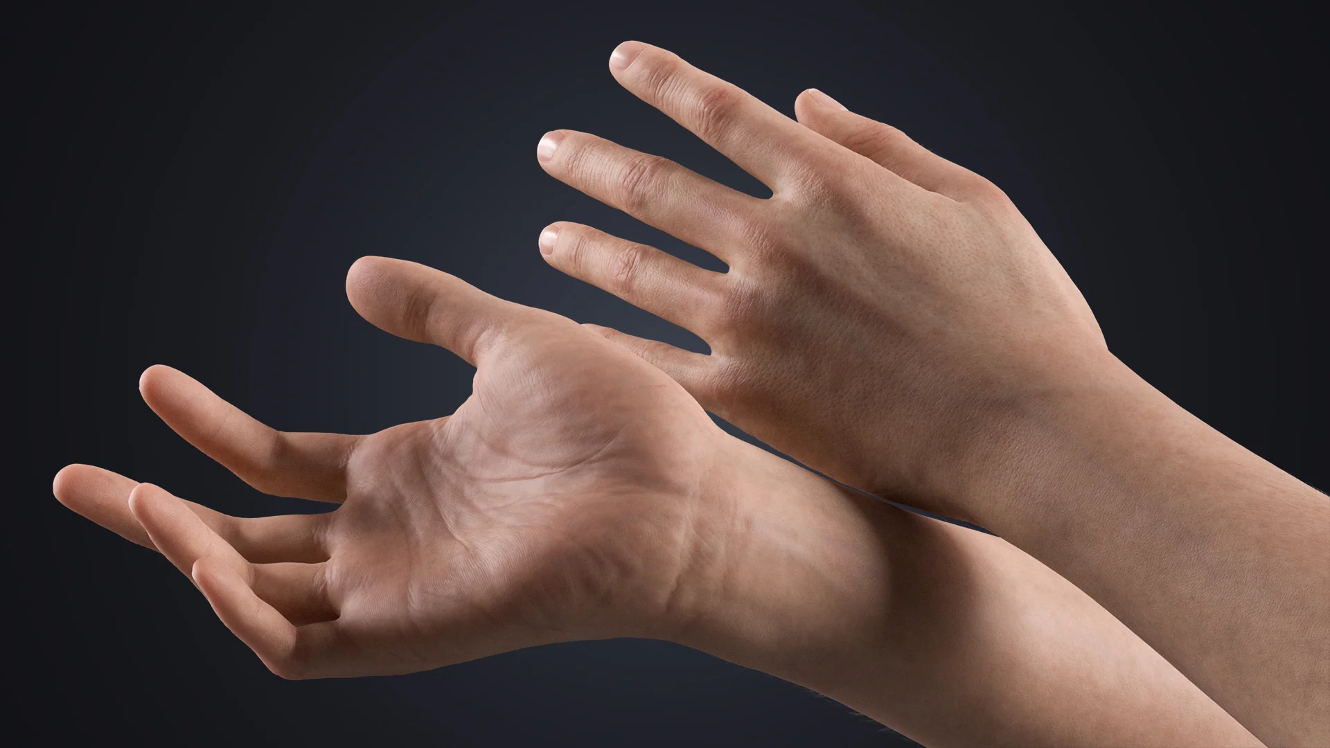 V-ARM 05 realistic neutral hand 3D model – VERSA series Blender rig