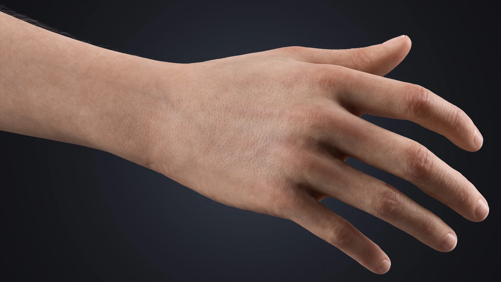 V-ARM 05 cinematic render – realistic neutral hand rig for Blender