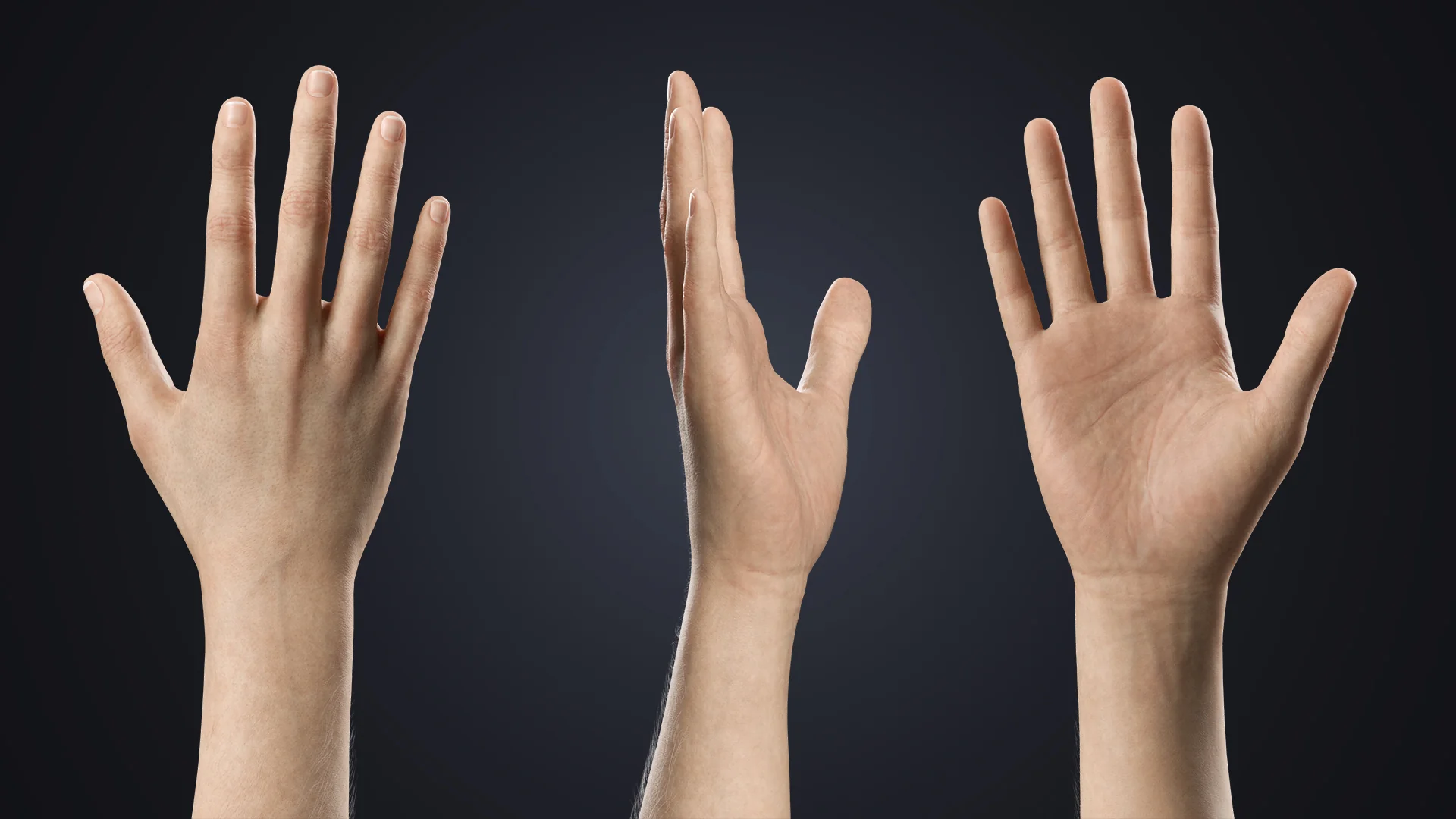 V-ARM 05 hand 360 close-up – realistic neutral hand rig for Blender