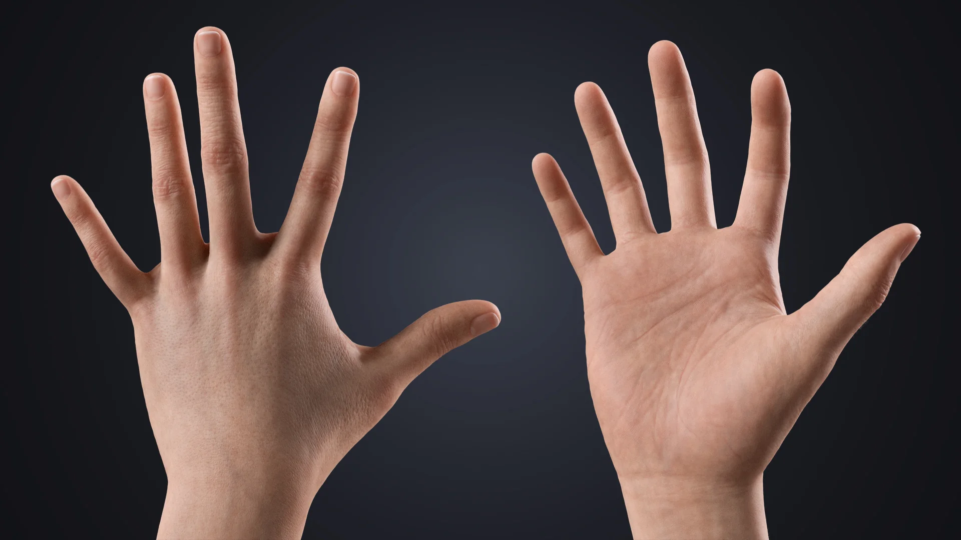 V-ARM 05 palm views – neutral hand rig for product and cinematic close-ups